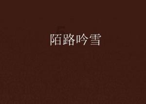 麦克斯：兄弟魔咒
