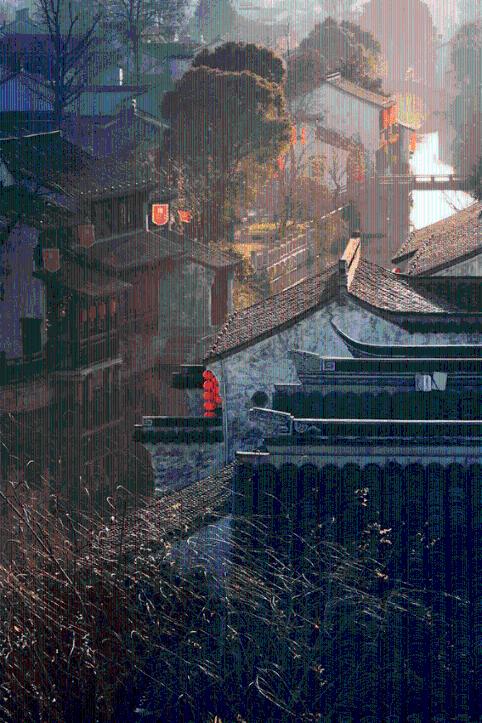行走自贸港（五），海南三亚：建设全球热带农业中心