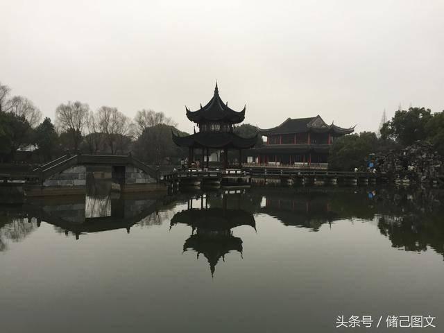 实拍获救的一级保护动物金雕被放飞:放飞前喂一盘肉 展翅飞向天空
